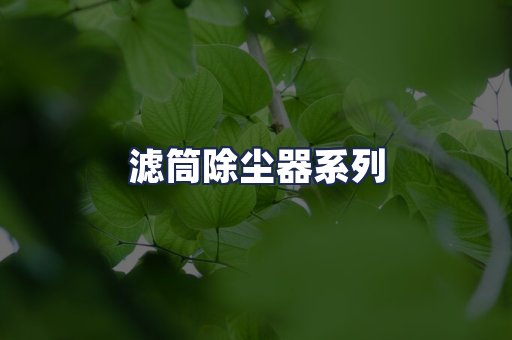 滤筒除尘器系列